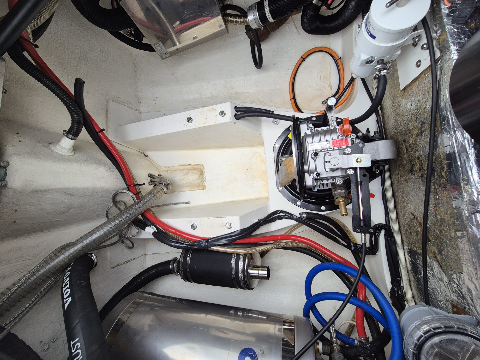 Dragonfly35_Alexia_12