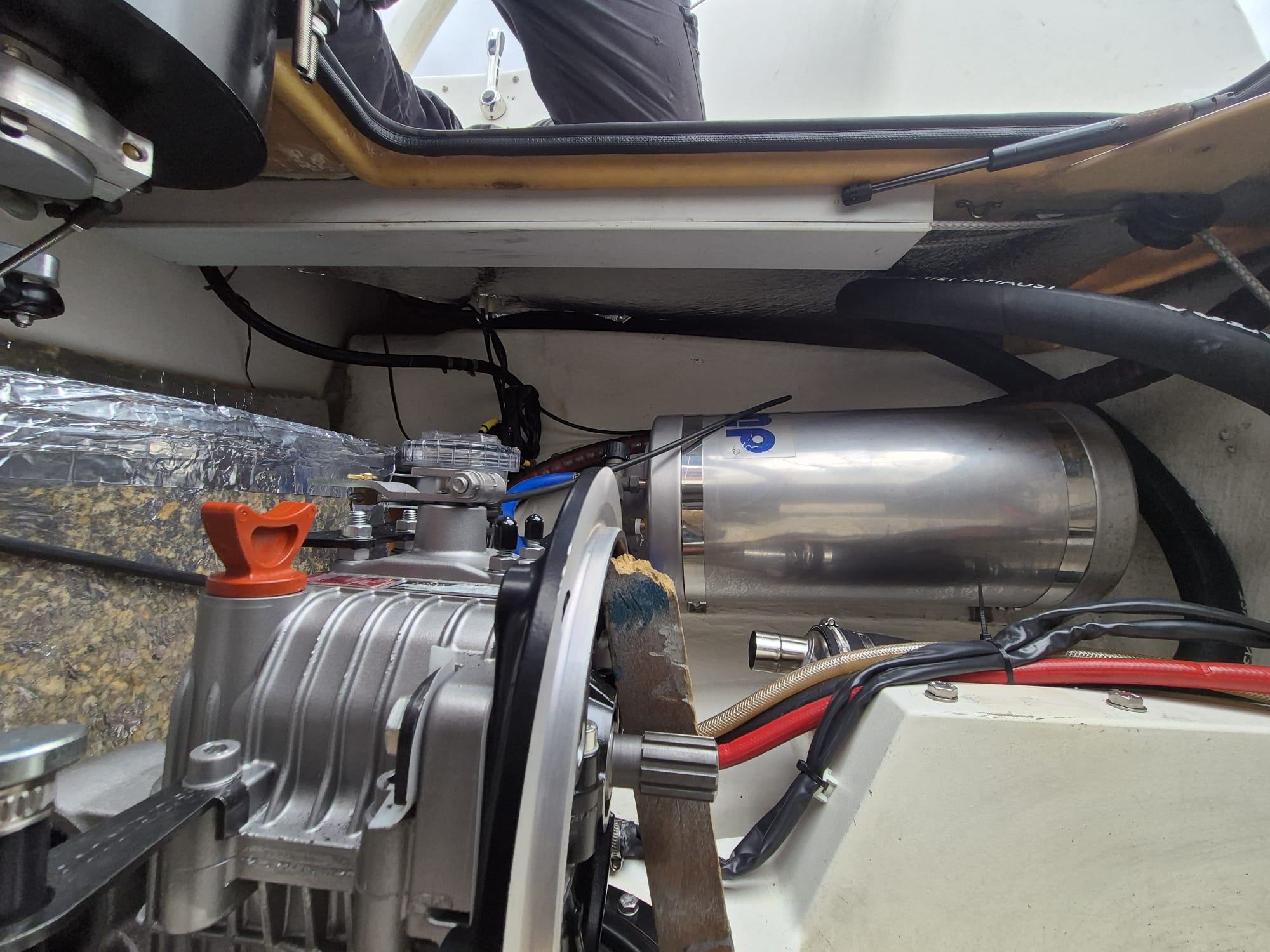 Dragonfly35_Alexia_13