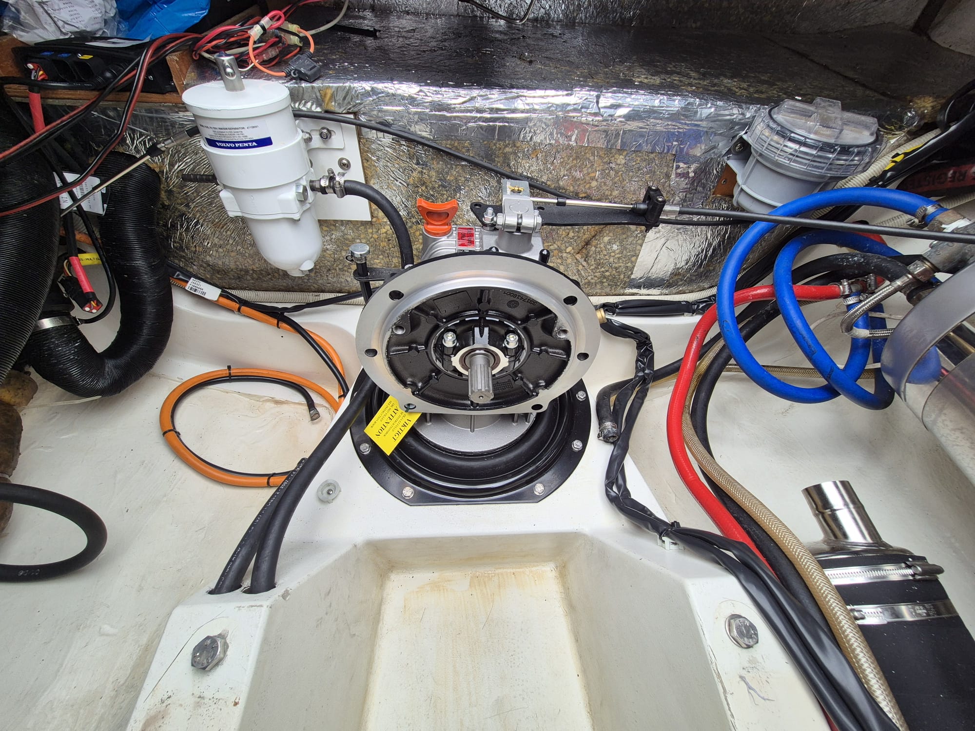 Dragonfly35_Alexia_14