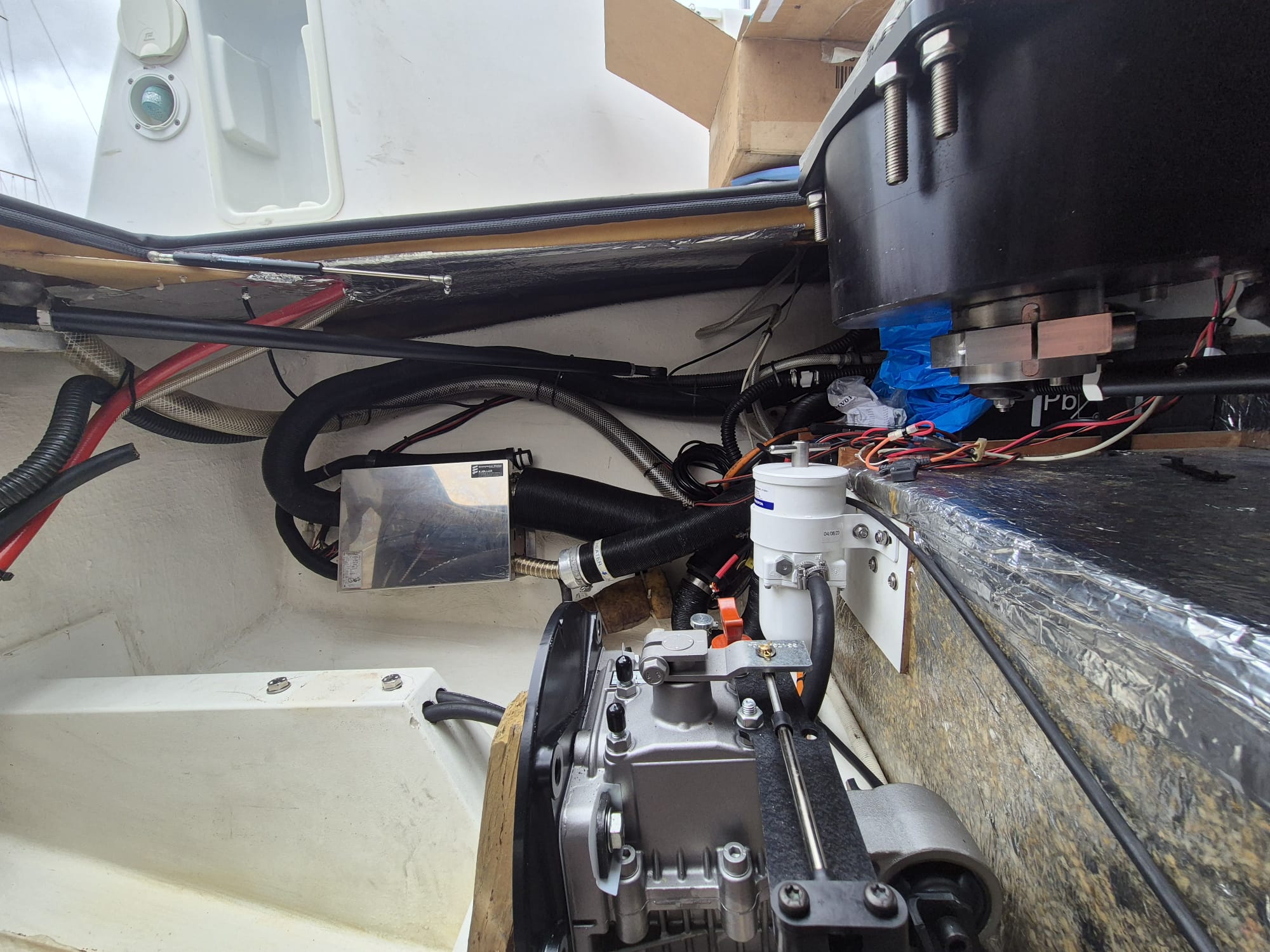 Dragonfly35_Alexia_15