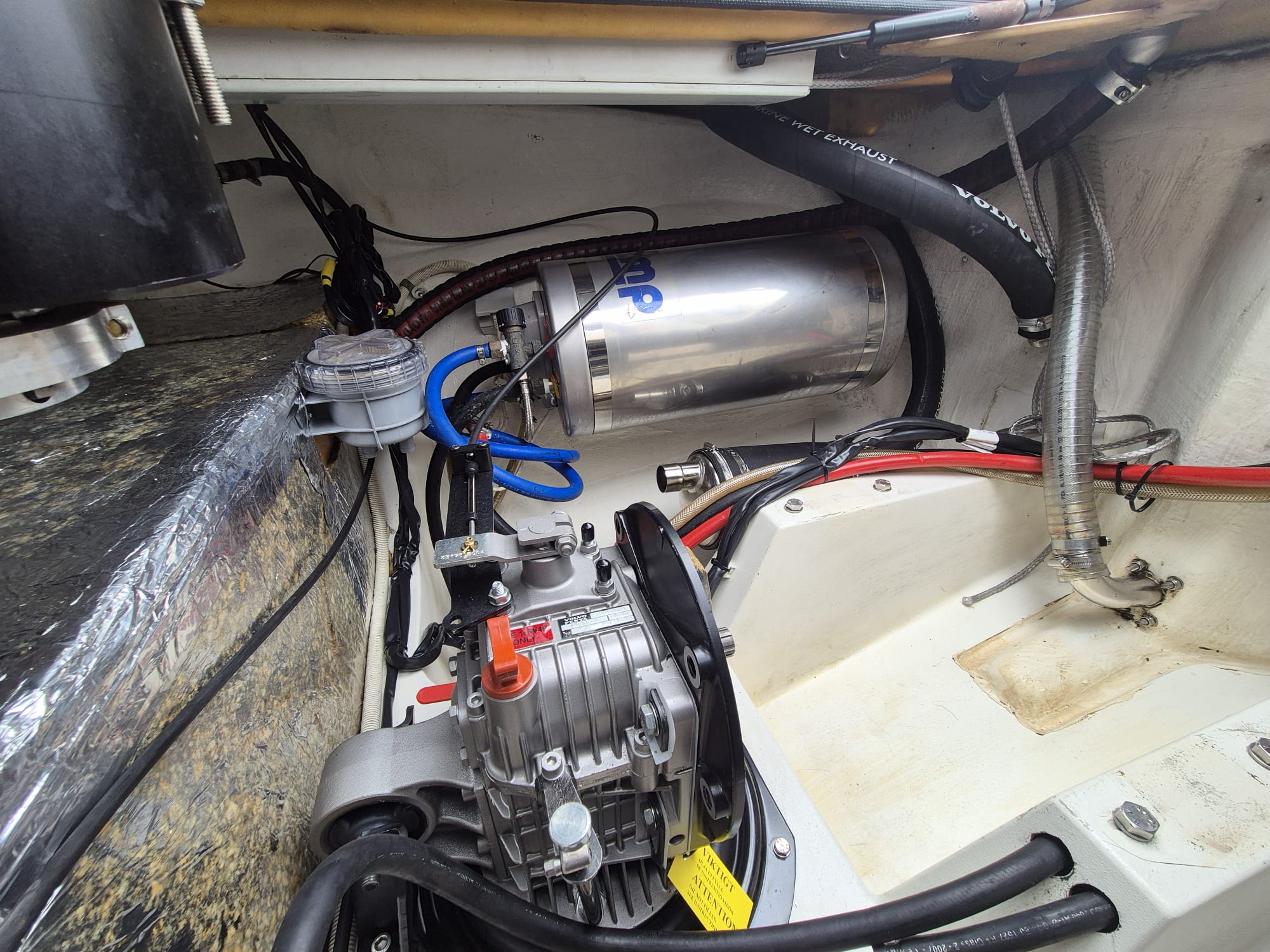 Dragonfly35_Alexia_17