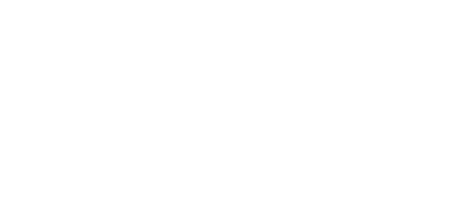 APS Motor Group