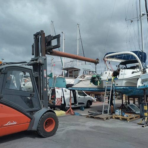 Dragonfly35_Alexia_03