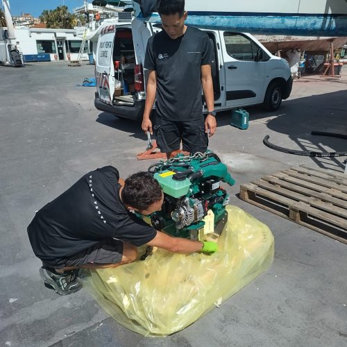 Dragonfly35_Alexia_04