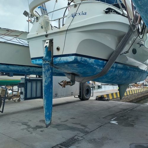 Dragonfly35_Alexia_05