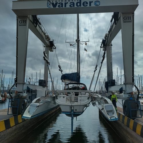 Dragonfly35_Alexia_06