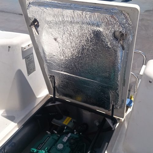 Dragonfly35_Alexia_08