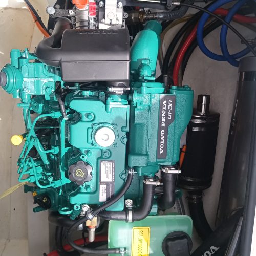 Dragonfly35_Alexia_10