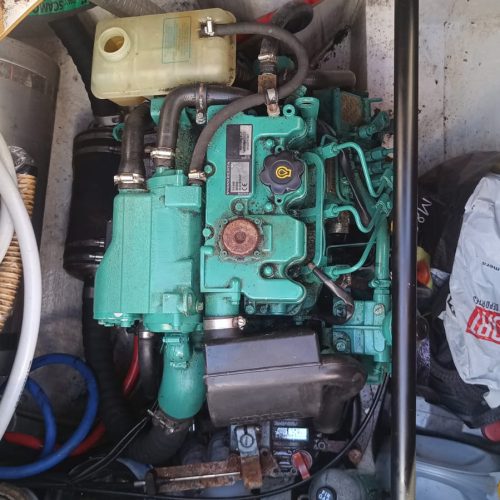 Dragonfly35_Alexia_11