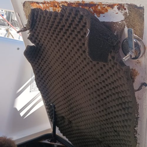 Dragonfly35_Alexia_19