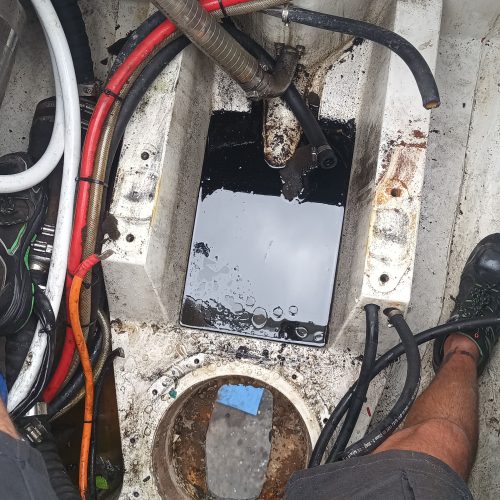 Dragonfly35_Alexia_20